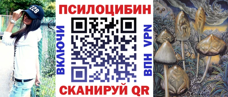 Псилоцибиновые грибы мицелий  блэк спрут вход  Новоалтайск  наркота 